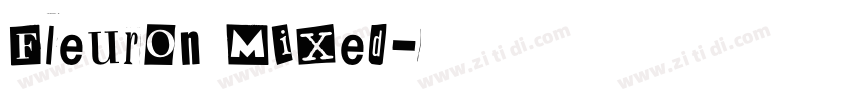 Fleuron Mixed字体转换